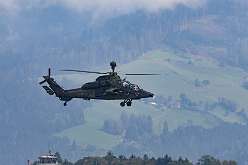 42: IMG_101695
