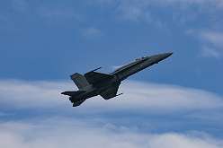 50: IMG_101883