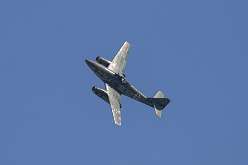 122: IMG_102957