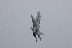 138: IMG_103138