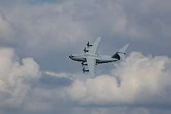 229: IMG_103989