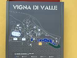 206: IMG_10025