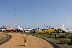 101: IMG_91110