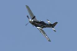 136: IMG_91496