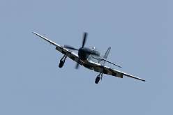 138: IMG_91509