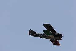 61: IMG_93335